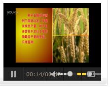 网页播放器