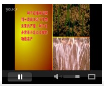 网页播放器